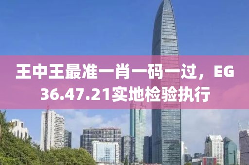 王中王最准一肖一码一过，EG36.47.21实地检验执行