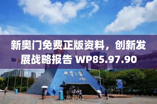 新奥门免费正版资料，创新发展战略报告 WP85.97.90