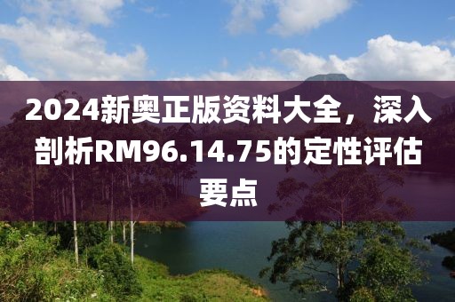 2024新奥正版资料大全，深入剖析RM96.14.75的定性评估要点