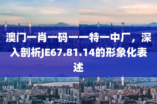 澳门一肖一码一一特一中厂，深入剖析JE67.81.14的形象化表述