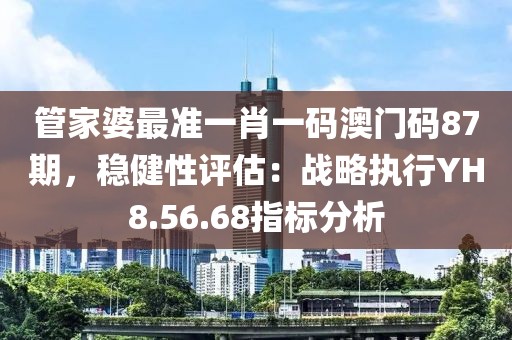 管家婆最准一肖一码澳门码87期，稳健性评估：战略执行YH8.56.68指标分析