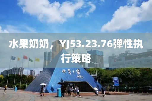 水果奶奶，YJ53.23.76弹性执行策略