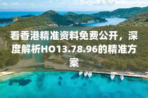 看香港精准资料免费公开，深度解析HO13.78.96的精准方案