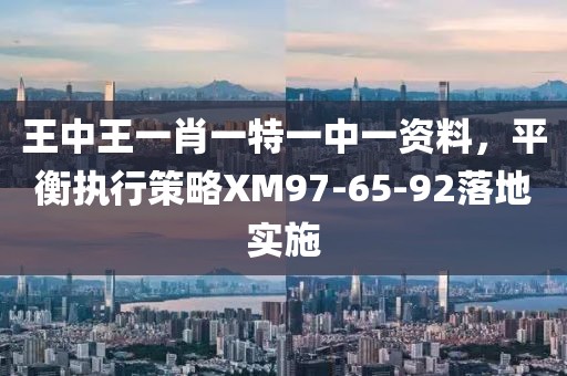王中王一肖一特一中一资料，平衡执行策略XM97-65-92落地实施