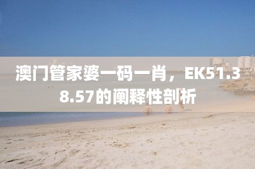 澳门管家婆一码一肖，EK51.38.57的阐释性剖析
