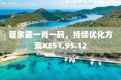 管家婆一肖一码，持续优化方案XE51.95.12