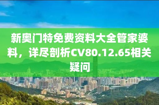 新奥门特免费资料大全管家婆料，详尽剖析CV80.12.65相关疑问