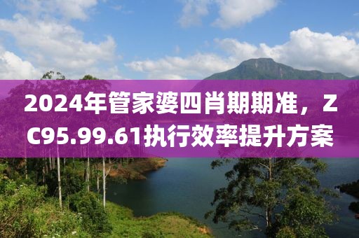 2024年管家婆四肖期期准，ZC95.99.61执行效率提升方案