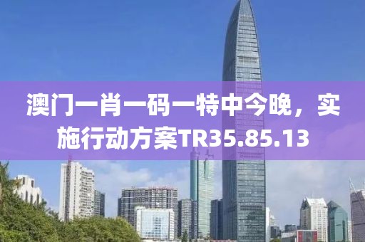 澳门一肖一码一特中今晚，实施行动方案TR35.85.13