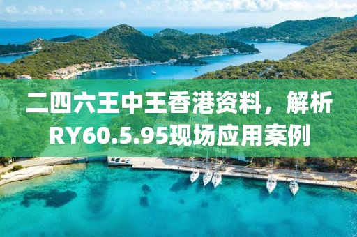 二四六王中王香港资料，解析RY60.5.95现场应用案例
