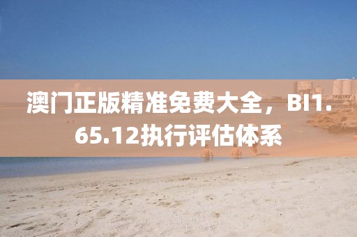 澳门正版精准免费大全，BI1.65.12执行评估体系