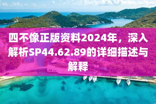 四不像正版资料2024年，深入解析SP44.62.89的详细描述与解释