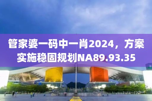 管家婆一码中一肖2024，方案实施稳固规划NA89.93.35