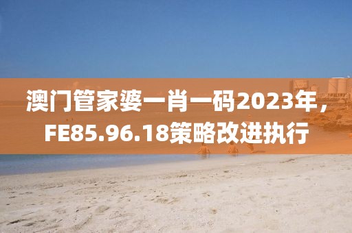 澳门管家婆一肖一码2023年，FE85.96.18策略改进执行