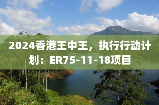 2024香港王中王，执行行动计划：ER75-11-18项目