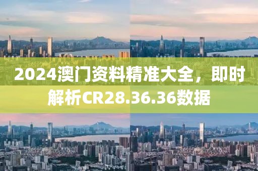 2024澳门资料精准大全，即时解析CR28.36.36数据