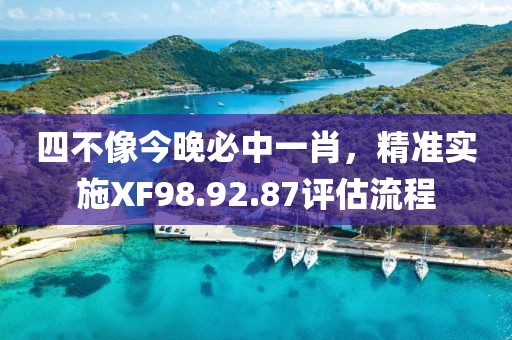 四不像今晚必中一肖，精准实施XF98.92.87评估流程