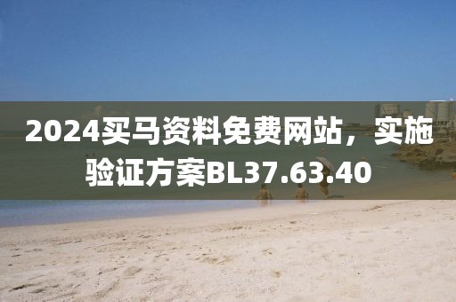 2024买马资料免费网站，实施验证方案BL37.63.40