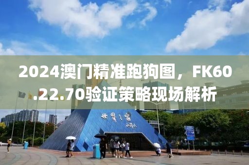2024澳门精准跑狗图，FK60.22.70验证策略现场解析