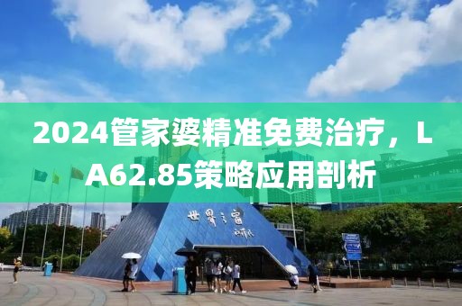 2024管家婆精准免费治疗，LA62.85策略应用剖析