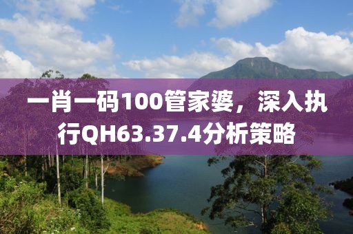 一肖一码100管家婆，深入执行QH63.37.4分析策略