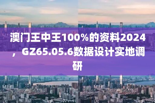 澳门王中王100%的资料2024，GZ65.05.6数据设计实地调研