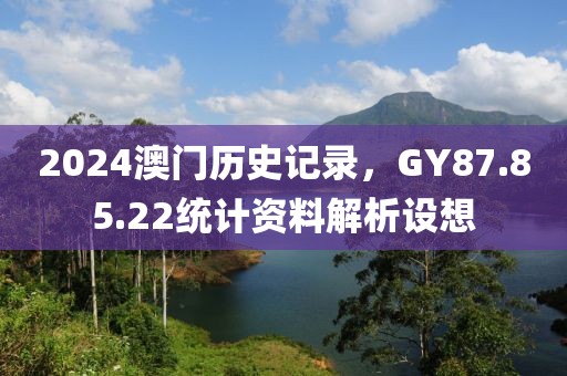 2024澳门历史记录，GY87.85.22统计资料解析设想