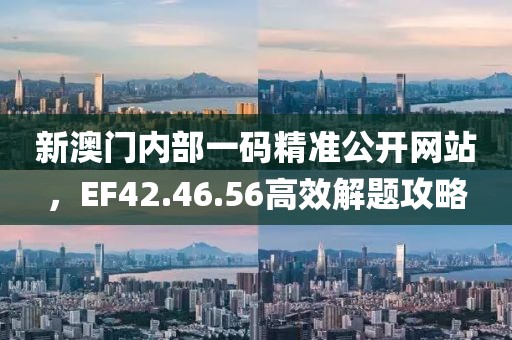 新澳门内部一码精准公开网站，EF42.46.56高效解题攻略