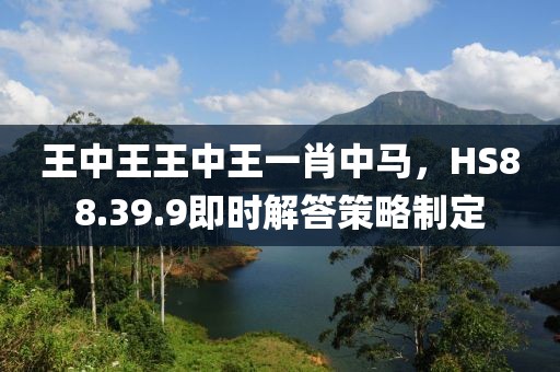 王中王王中王一肖中马，HS88.39.9即时解答策略制定