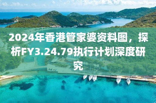 2024年香港管家婆资料图，探析FY3.24.79执行计划深度研究