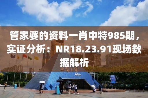 管家婆的资料一肖中特985期，实证分析：NR18.23.91现场数据解析