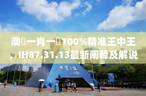 澳門一肖一碼100%精准王中王，IH87.31.13最新阐释及解说