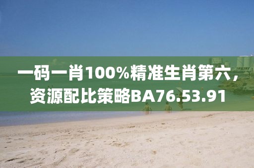 一码一肖100%精准生肖第六，资源配比策略BA76.53.91