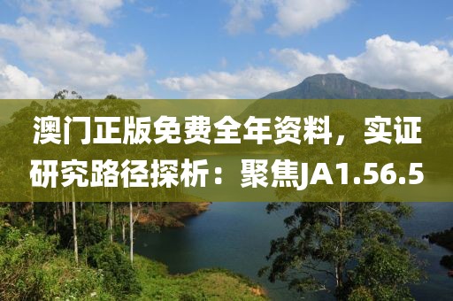 澳门正版免费全年资料，实证研究路径探析：聚焦JA1.56.50