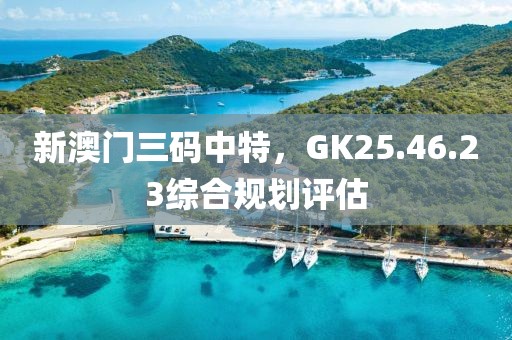 新澳门三码中特，GK25.46.23综合规划评估