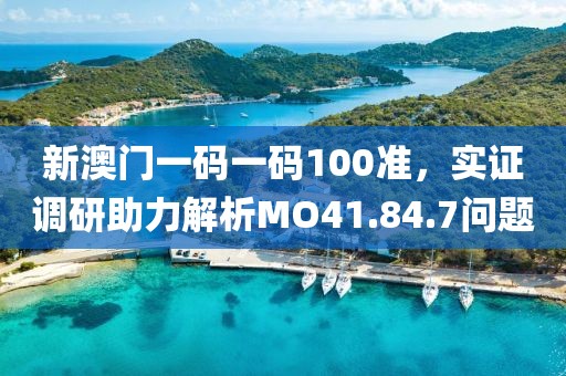 新澳门一码一码100准，实证调研助力解析MO41.84.7问题