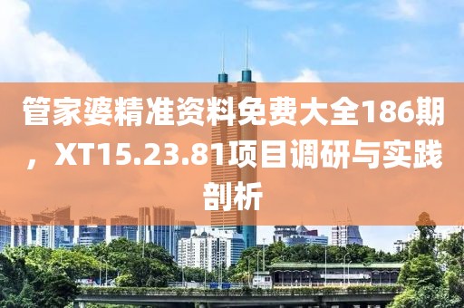 管家婆精准资料免费大全186期，XT15.23.81项目调研与实践剖析