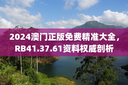 2024澳门正版免费精准大全，RB41.37.61资料权威剖析