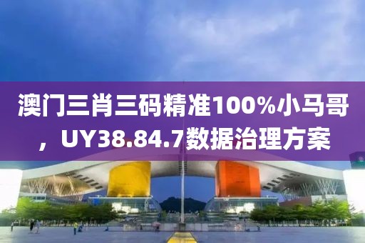 澳门三肖三码精准100%小马哥，UY38.84.7数据治理方案