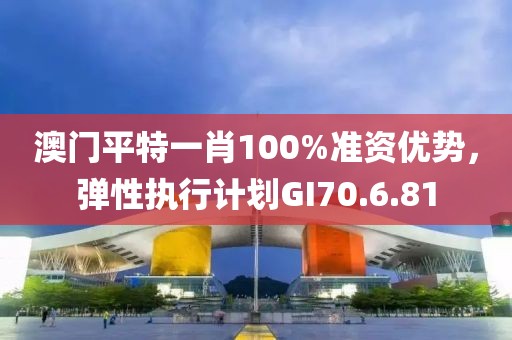 澳门平特一肖100%准资优势，弹性执行计划GI70.6.81
