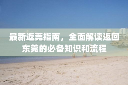 最新返莞指南，全面解读返回东莞的必备知识和流程