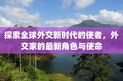 探索全球外交新时代的使者,外交家的最新角色与使命