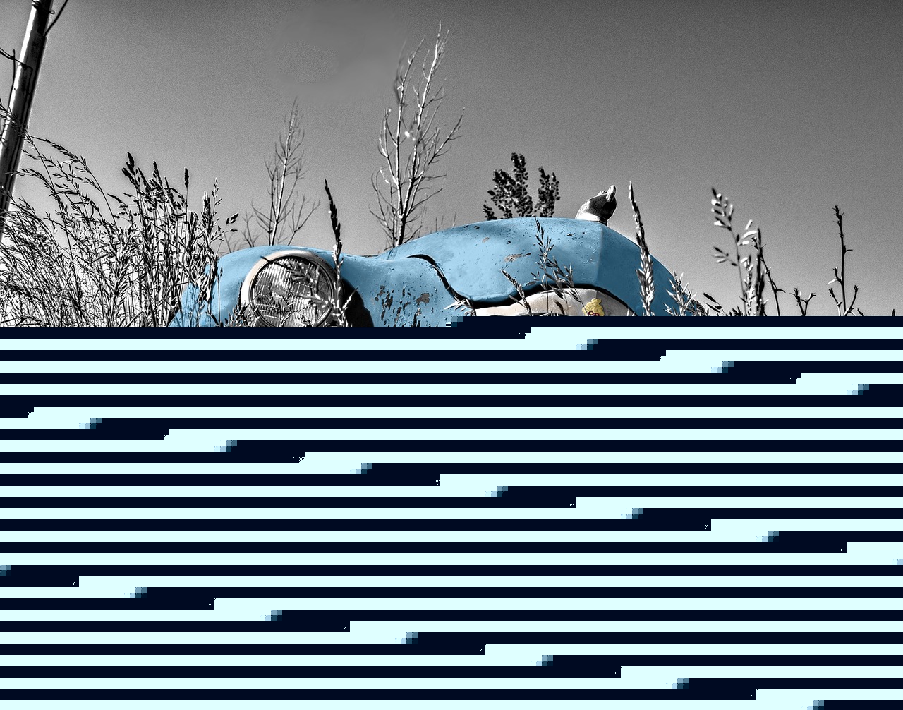 最新南山南，探索与发展的辉煌篇章