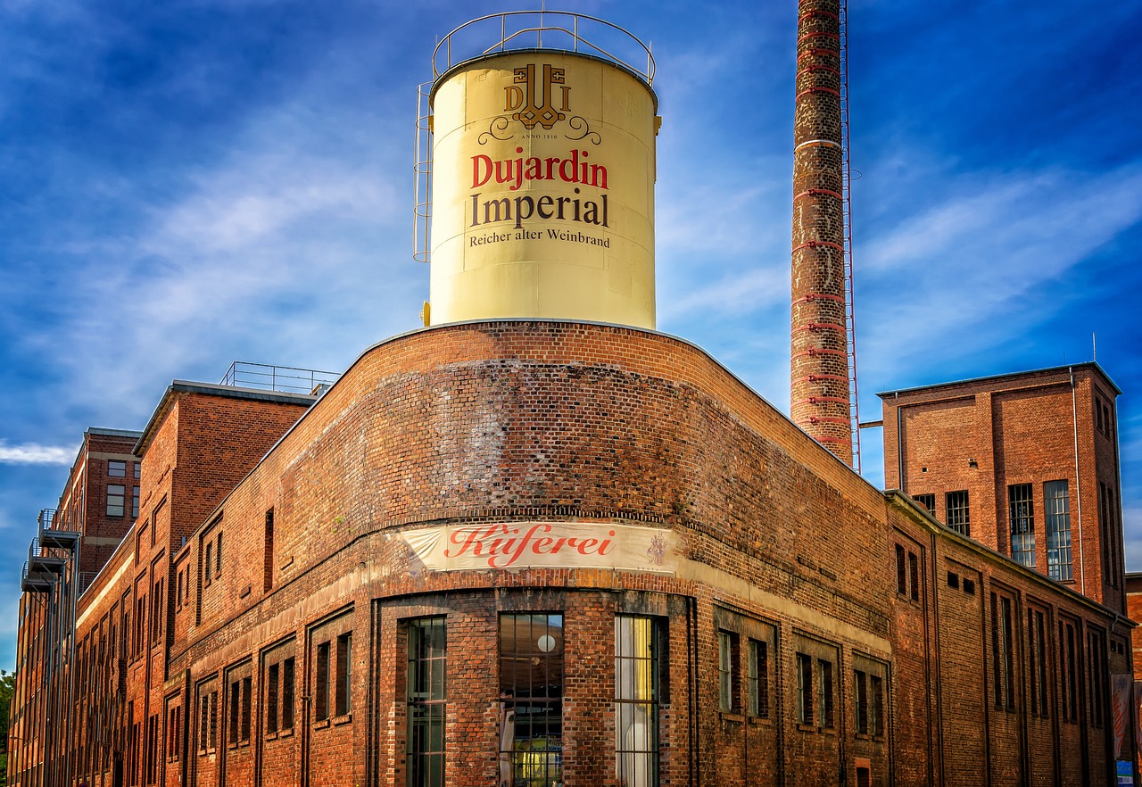 引领时代文化浪潮的最新合集传递