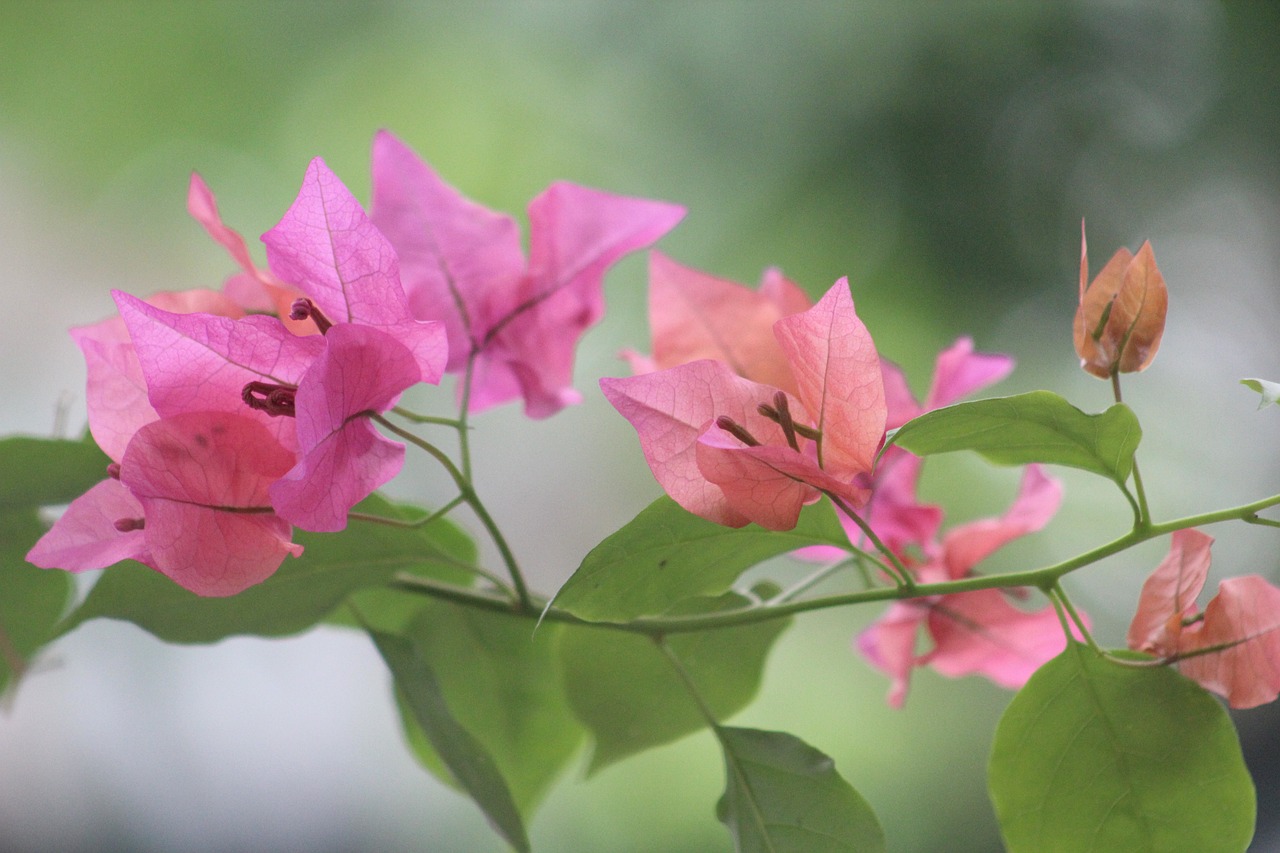 松下最新科技动态，引领创新，塑造未来生活