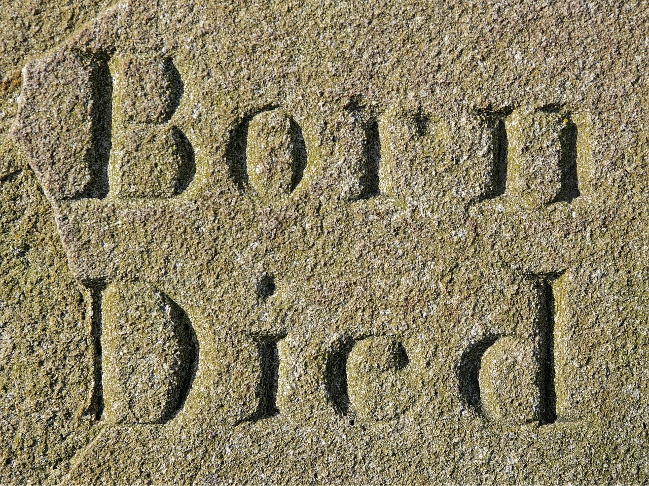 疯马山最新动态，自然美景与现代发展的和谐共舞