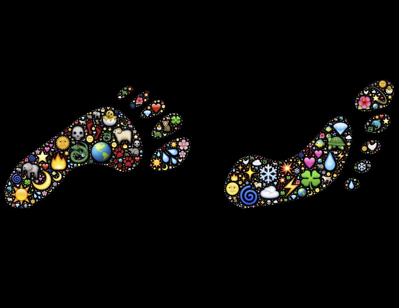 最新金蟾，神秘魅力与实用应用探索