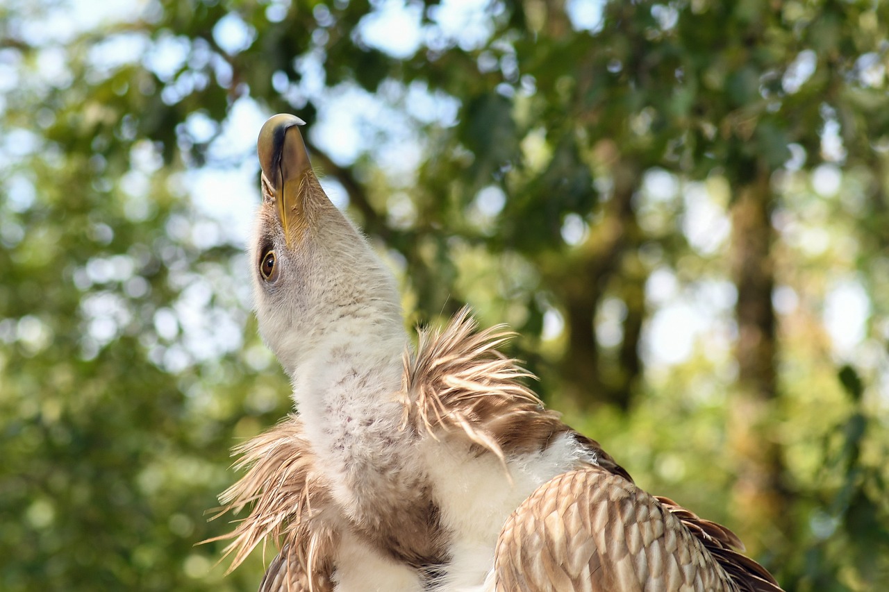 霍州最新房价动态与市场趋势深度解析