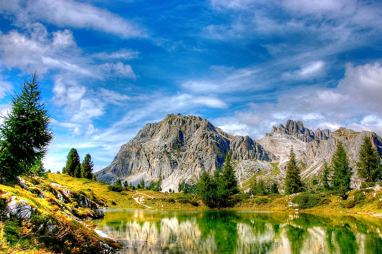 全球关注焦点,最新流感动态与应对策略