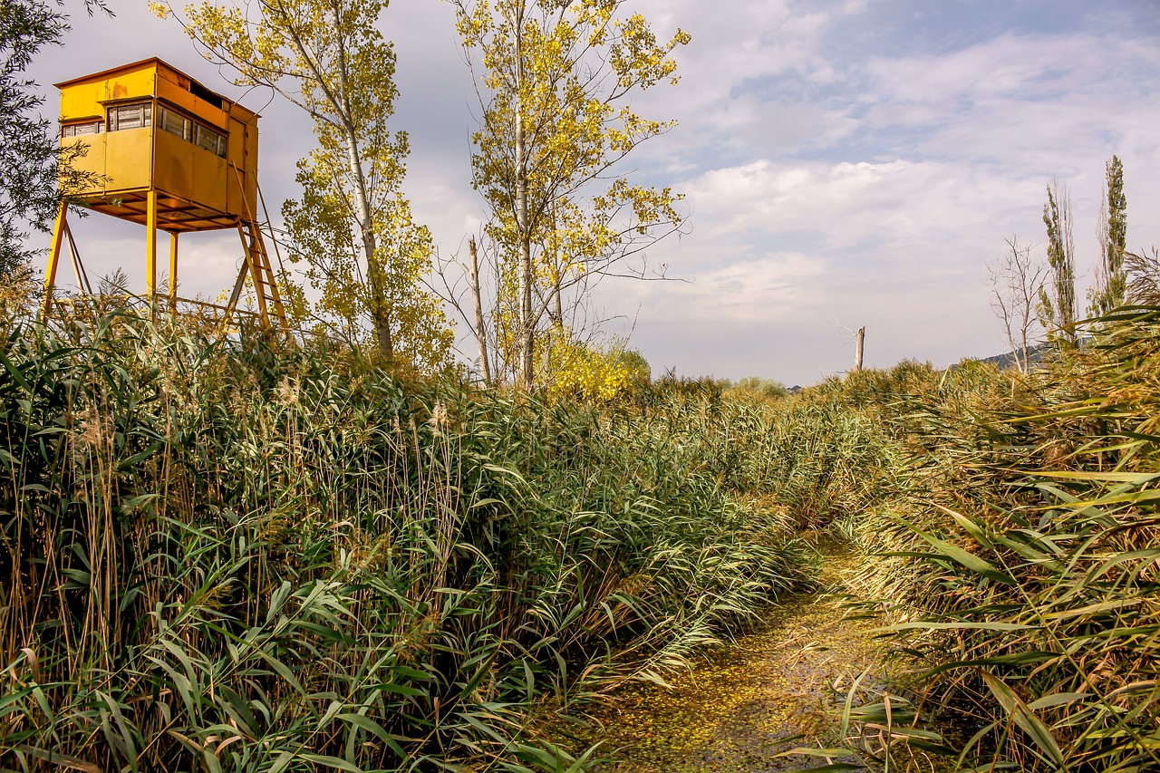 花开无言 第28页
